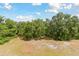 Aerial view of a backyard with a fire pit surrounded by trees and natural vegetation at 7606 Four Pines Rd, Plant City, FL 33565