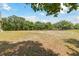 Large backyard of property, partially cleared and bordered by mature trees under a blue sky at 7606 Four Pines Rd, Plant City, FL 33565