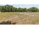 Spacious backyard featuring mature trees and partially cleared land under a clear blue sky at 7606 Four Pines Rd, Plant City, FL 33565
