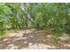 Lush land filled with mature trees and natural foliage, offering a private retreat at 7606 Four Pines Rd, Plant City, FL 33565