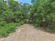 A picturesque view of a wooded acreage filled with mature trees offering privacy and natural beauty at 7606 Four Pines Rd, Plant City, FL 33565