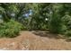 Lush backyard featuring mature trees and natural foliage, creating a private and serene outdoor space at 7606 Four Pines Rd, Plant City, FL 33565