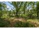 Lush backyard featuring mature trees and natural foliage, creating a private and serene outdoor space at 7606 Four Pines Rd, Plant City, FL 33565