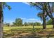 Scenic view of golf course and community homes, surrounded by mature trees at 9375 French Quarters Cir, Weeki Wachee, FL 34613