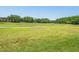 Scenic golf course view with mature trees and clear blue skies at 1084 Berkshire Ln, Tarpon Springs, FL 34688