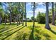 Expansive backyard with towering trees providing ample shade and scenic views at 18906 Crescent Rd, Odessa, FL 33556