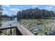 Scenic lake view featuring lily pads, a boat house, calm water, and a lush tree line under a partly cloudy blue sky at 18906 Crescent Rd, Odessa, FL 33556