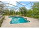 Beautiful screened-in pool with a built-in spa surrounded by lush landscaping at 2512 Clubhouse Dr, Plant City, FL 33566