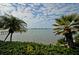 Picturesque water view framed by lush greenery and palm trees, creating a tranquil setting at 4550 Cove Cir # 502, St Petersburg, FL 33708