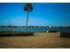 Scenic water view featuring a palm tree, boats, and lush greenery, creating a serene and picturesque environment at 4550 Cove Cir # 502, St Petersburg, FL 33708