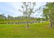 Lush green backyard with lake view, mature trees, and green lawn at 9481 Highland Oak Dr # 1206, Tampa, FL 33647