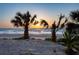 Serene beach view featuring palm trees silhouetted against a vibrant sunset over the ocean at 1600 Gulf Blvd # 618, Clearwater, FL 33767