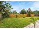 Spacious backyard featuring lush green grass, a wood fence, and tropical landscaping at 1886 San Mateo Dr, Dunedin, FL 34698