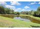 A serene pond surrounded by lush greenery, creating a peaceful and natural landscape at 3243 Ashmonte Dr, Land O Lakes, FL 34638