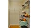 Walk-in closet with wire shelving for organized storage, great for efficient organizing at 5033 Blue Runner Ct, New Port Richey, FL 34652