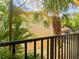 Balcony view showing lush green landscaping with trees and shrubs at 7535 Abonado Rd, Tampa, FL 33615