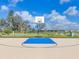 Outdoor basketball court featuring a blue key, perfect for recreational games at 10628 Bahama Woodstar Ct, Riverview, FL 33579