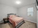 Well-lit bedroom featuring a plush bed, soft carpet, and neutral walls for a tranquil atmosphere at 10628 Bahama Woodstar Ct, Riverview, FL 33579