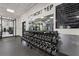 Features a weightlifting area with dumbbells and mirrors in the fitness center at 11607 Meridian Point Dr, Tampa, FL 33626