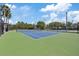 Well maintained tennis court with green and blue surface surrounded by lush landscaping at 11607 Meridian Point Dr, Tampa, FL 33626