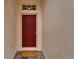 Detailed view of the front door entrance, showing the door's color and design at 11626 Pure Pebble Dr, Riverview, FL 33569