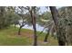 Picturesque water view showcasing mature trees and lush landscaping at 12041 Environmental Dr # 6, New Port Richey, FL 34654