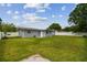 Well-maintained backyard with a lush green lawn and a privacy fence, perfect for outdoor activities and relaxation at 2401 Havana Dr, Clearwater, FL 33764