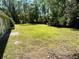 View from the home, overlooking the green lush backyard surrounded by mature trees and greenery at 4310 Lithia Pinecrest Rd, Valrico, FL 33596