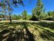 Expansive front yard with mature trees and green grass, providing a serene and open space at 4310 Lithia Pinecrest Rd, Valrico, FL 33596
