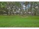 Expansive backyard with lush green grass and privacy fence, perfect for outdoor activities and relaxation at 4921 Barnstead Dr, Riverview, FL 33578