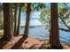 Picturesque lake view framed by trees, with a glimpse of a pier and boats in the distance at 5269 Karlsburg Pl, Palm Harbor, FL 34685