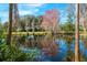 Scenic pond view surrounded by lush greenery and trees, reflecting the sky above at 5269 Karlsburg Pl, Palm Harbor, FL 34685