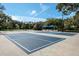 Community sport courts featuring basketball and other games under a bright sky at 5269 Karlsburg Pl, Palm Harbor, FL 34685
