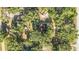 Sprawling property with lush greenery and mature trees, a peaceful oasis at 7157 Quail Hollow Blvd, Wesley Chapel, FL 33544