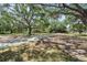 Long driveway leading to a charming home surrounded by majestic oak trees at 7157 Quail Hollow Blvd, Wesley Chapel, FL 33544