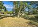 Expansive yard featuring mature trees, lush greenery, and a charming glimpse of the house at 7157 Quail Hollow Blvd, Wesley Chapel, FL 33544