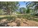 Expansive yard with mature trees offering plenty of space and privacy at 7157 Quail Hollow Blvd, Wesley Chapel, FL 33544