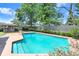 Inviting in-ground pool surrounded by a concrete patio and lush landscaping, offering a private retreat at 7703 W Hiawatha St, Tampa, FL 33615