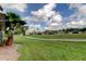 Lush green backyard overlooking a tranquil view of neighboring homes at 10103 Old Tampa Bay Dr, San Antonio, FL 33576
