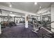 Well-equipped home gym featuring mirrors, exercise equipment and unique carpet at 1058 Roundstone Pl, Palm Harbor, FL 34683