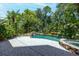 Backyard boasts a luxurious pool and stone hot tub, surrounded by lush tropical landscaping at 1058 Roundstone Pl, Palm Harbor, FL 34683