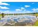 Scenic pond view with cloud reflections on a bright sunny day, with trees lining the landscape in the background at 13102 Foxtail Fern Dr, Riverview, FL 33579