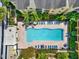 Overhead shot of a community pool with plenty of lounge chairs and tropical plants at 1910 E Palm Ave # 11216, Tampa, FL 33605
