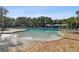 Community pool featuring clear water, palm trees, and comfortable lounge chairs for relaxation at 19325 Hawk Valley Dr, Tampa, FL 33647