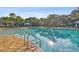 Community pool with a ladder, pavers, palm trees, and plenty of shade for residents at 19325 Hawk Valley Dr, Tampa, FL 33647