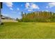 Large backyard with healthy lawn, a privacy fence, and views of a nature preserve at 19719 Cypress Bridge Dr, Odessa, FL 33556