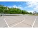 Outdoor basketball court offering recreational opportunities within the community surrounded by a white fence and mature trees at 20749 Auburn Leaf Trl, Land O Lakes, FL 34638