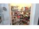 Walk-in pantry with shelving, offering plenty of storage space for food and kitchen essentials at 32313 Conchshell Sail St, Wesley Chapel, FL 33545