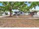Cozy one-story home with mature trees, providing a serene and welcoming atmosphere in a residential area at 4102 Haines N Rd, St Petersburg, FL 33703