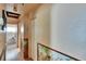 Hallway with wood floors, animal themed wallpaper, and bathroom view at the end at 4102 Haines N Rd, St Petersburg, FL 33703